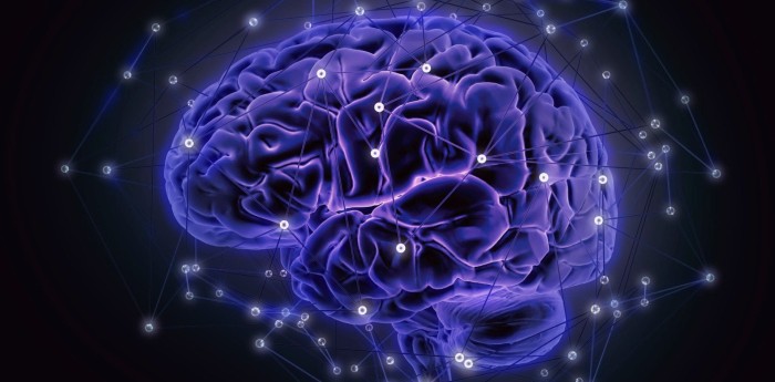 Neurociencia y comportamiento digital: qué pasa en el cerebro cuando vivimos hiperconectados