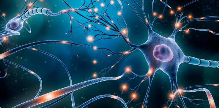 La privacidad mental, el último territorio sin ley: Qué protecciones existen (y cuáles no) para los datos neuronales