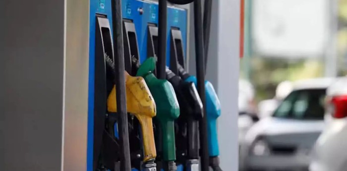 Vacaciones 2026: ¿Cuál es el precio de la nafta para este verano?