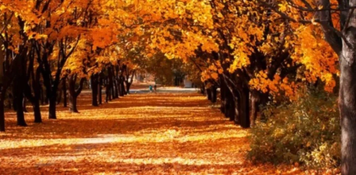 Salud y bienestar; ¿Cómo poner a punto "la máquina" y el hogar para el cambio de temporada?