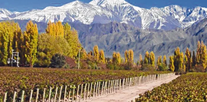 Clima en Mendoza hoy: cómo estará el tiempo este martes 3 de marzo de 2026 según el SMN