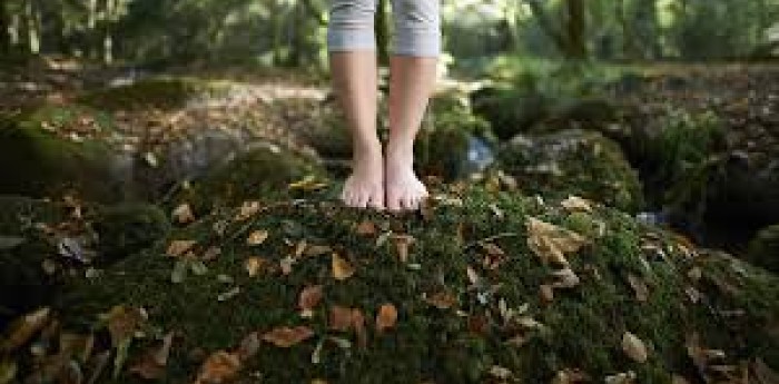 Salud y bienestar: el antídoto de 20 minutos que la ciencia receta contra el estrés urbano