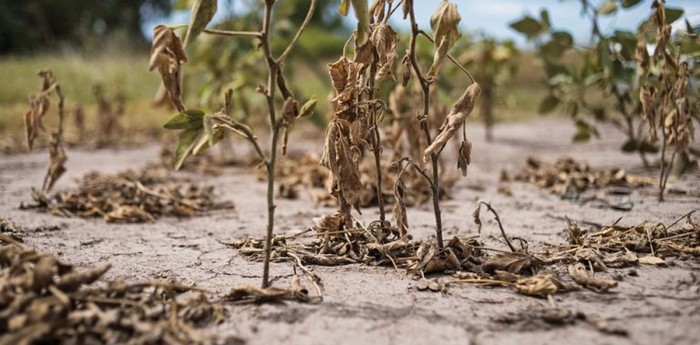 Sequía histórica y ciencia: ¿qué dicen los datos?