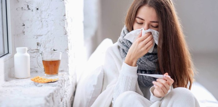 Salud y bienestar: guía definitiva para blindar tu salud contra la gripe