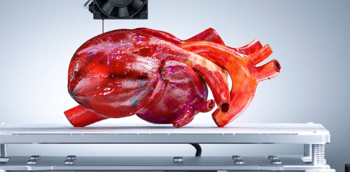 Órganos impresos en 3D: la revolución biomédica que busca fabricar tejidos humanos en laboratorio
