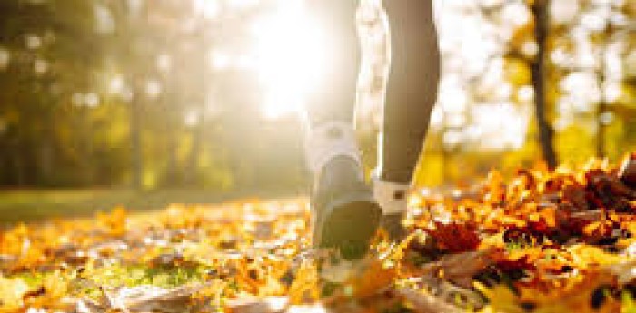 Salud y bienestar: guía definitiva para blindar tu salud en la calle este otoño
