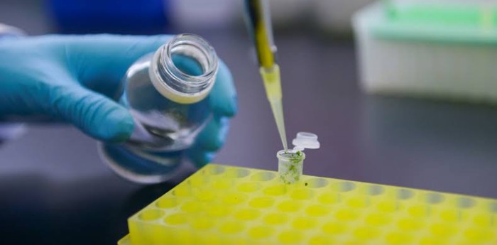 Las startups argentinas de biotecnología que buscan competir globalmente