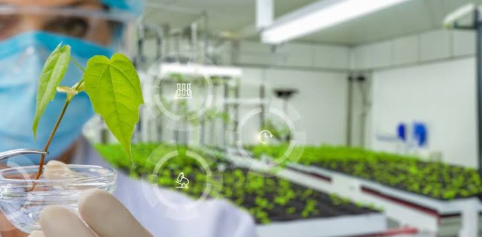 Bioinsumos: el mercado que crece entre los productores argentinos