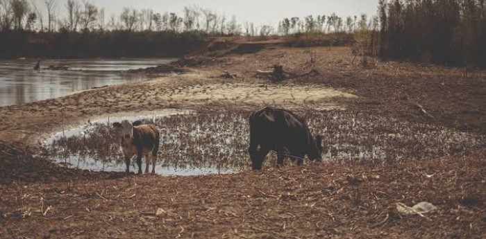 La crisis del agua en Argentina: las provincias que ya enfrentan estrés hídrico