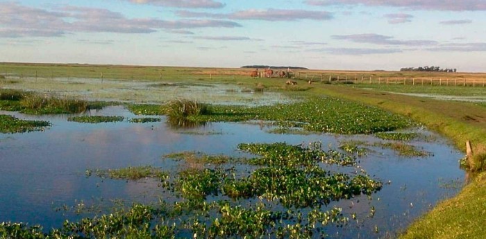 Los humedales como infraestructura natural frente a inundaciones y sequías