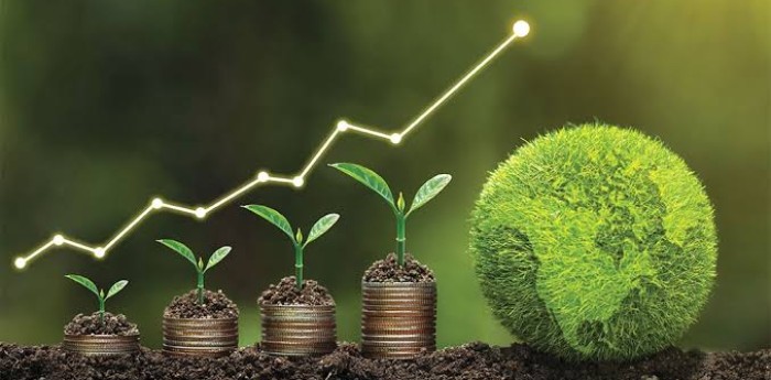 El auge de los bonos verdes y el financiamiento sostenible en Argentina