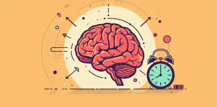 Salud y bienestar: reloj biológico y metabolismo: cómo sincronizar los ritmos circadianos para mejorar la insulina y controlar el apetito